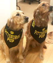 Pittsburgh Pup Bandana
