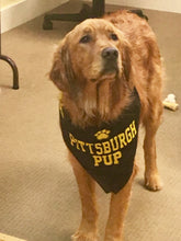 Pittsburgh Pup Bandana